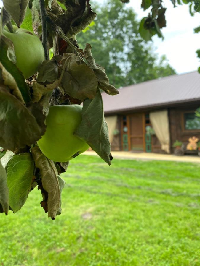 Siedlisko Odpoczynkowo Villa Nowosiolki  Bagian luar foto